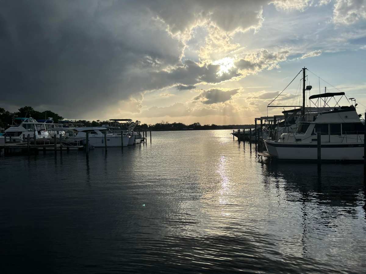 It was a wild&nbsp;2023!